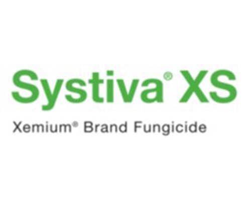 BASF-systiva-logo