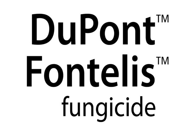 dupont-fontelis-logo